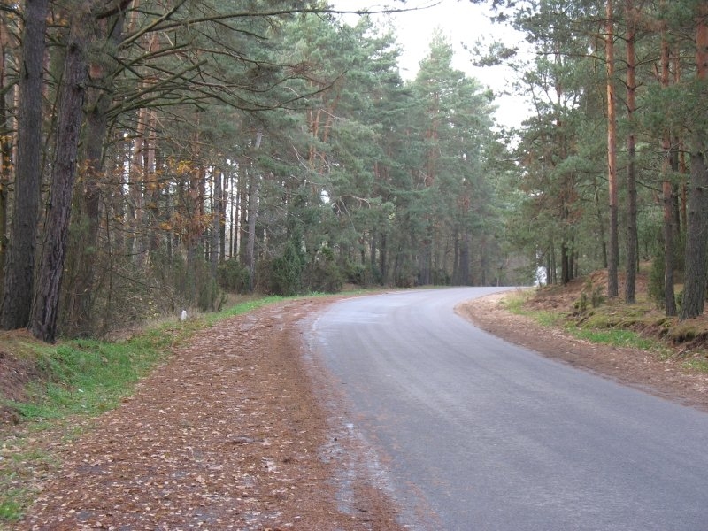 Pseudo-ścieżka Zabrodzie - Antonie - Łazy - Siarki