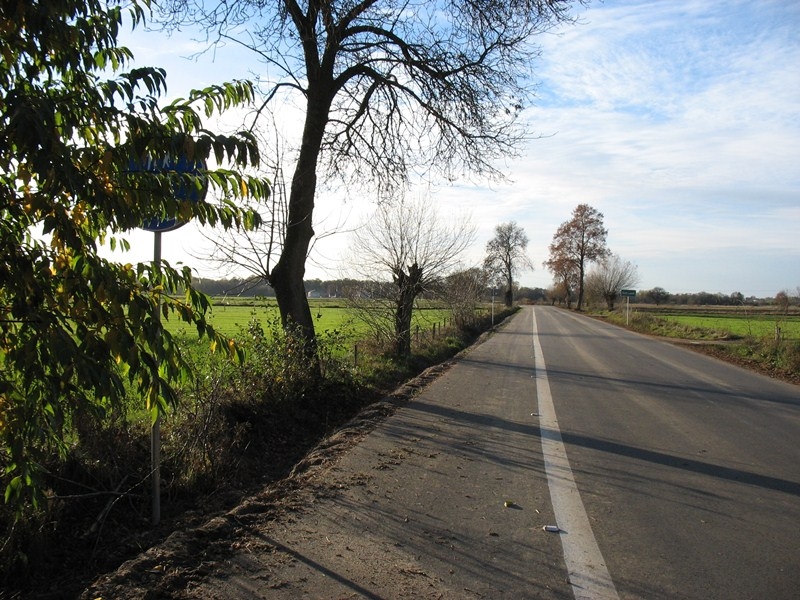 Pseudo-ścieżka Suchcice-Gucin-Dzwonek-Grodzisk
