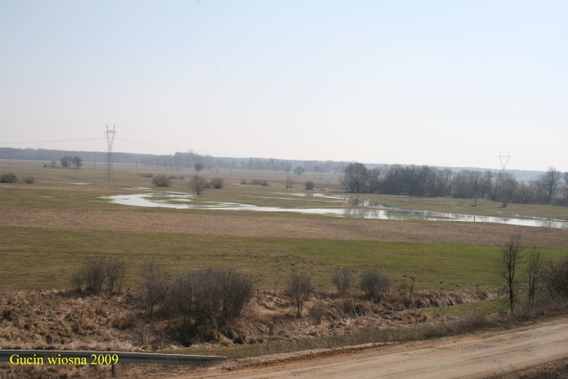 Widok z mostu kolejowego II