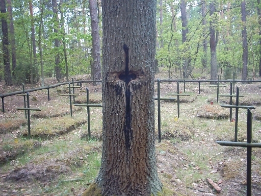 Cmentarz z czasów I wojny światowej w miejscowości Stare Kurpiewskie