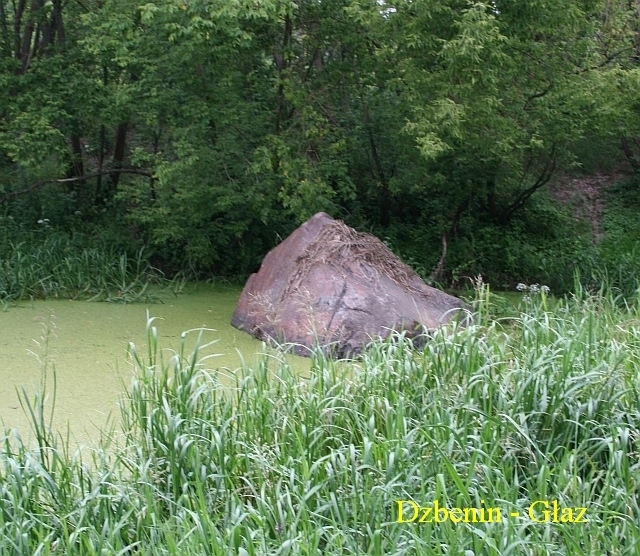 Dzbenin - Głaz