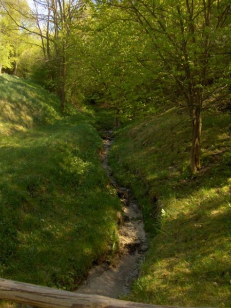 Skansen w Nowogrodzie - Wyschnięta rzeka
