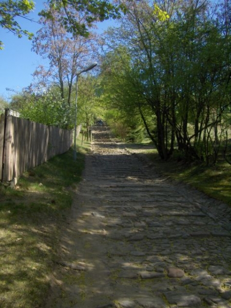 Skansen w Nowogrodzie - Schody