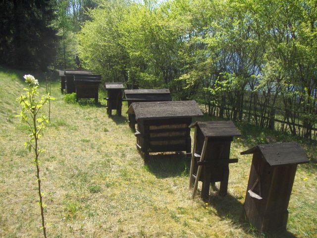 Skansen w Nowogrodzie - Ule