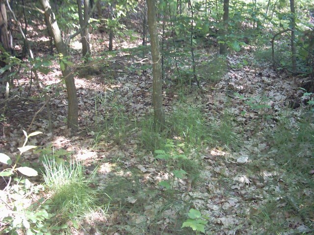 Nowosiedliny-cmentarz wojenny z czasów I wojny światowej.