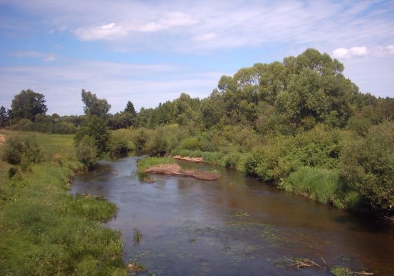 Orzyc w pobliżu Podosia.
