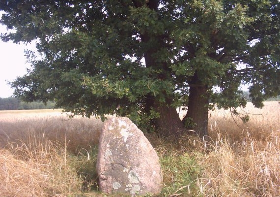 Brzezienko - ślad po cmentarzu z czasów I wojny.