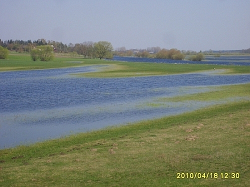 z mostu pod Bronowem