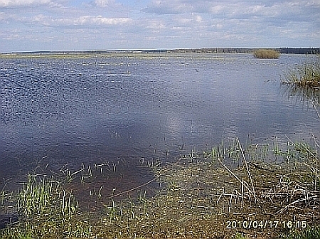 Białe Bagno w kwietniu
