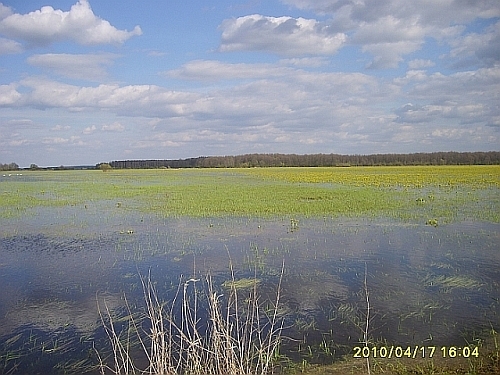 zielone, żółte i niebieskie