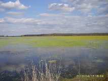 zielone, żółte i niebieskie