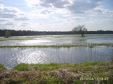 Rzeka Gać i rezerwat