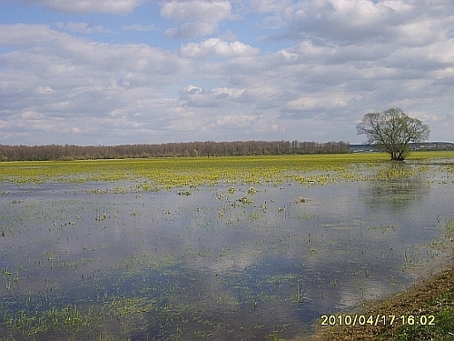 Białe Bagno nie jest białe