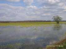 Białe Bagno nie jest białe