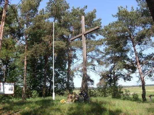 Drążdżewo - Polska Kępa