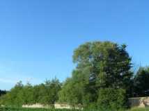 Krasnosielc - kierkut