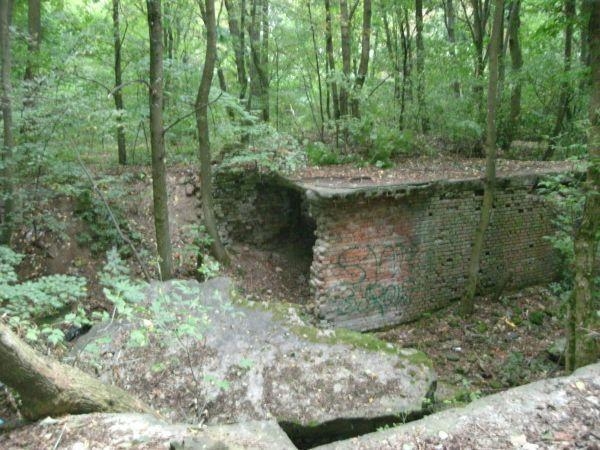 Krasne - ruiny piwnic