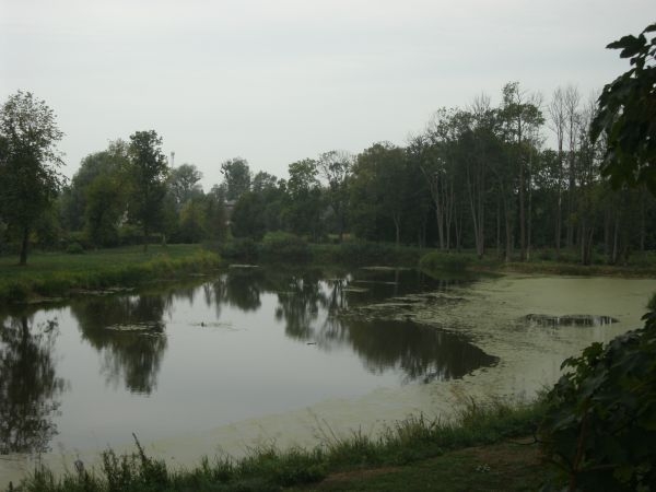Karniewo - park, staw