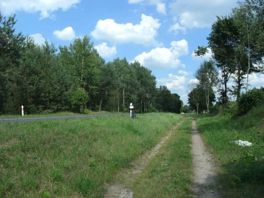 Wąwóz wąskotorówki