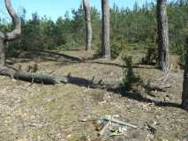 Kierzek - cmentarz z I w.ś.