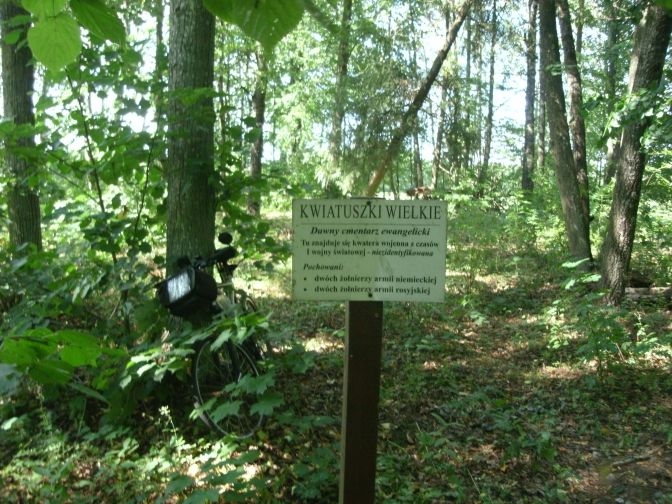 Kwiatuszki k szkoły