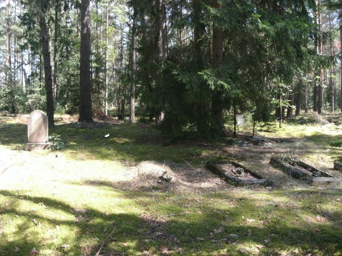 Kwiatuszki k szkoły 4