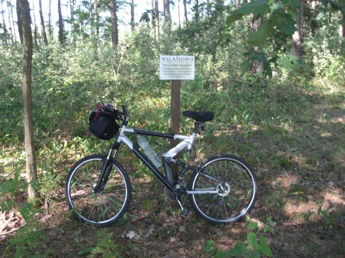 Wilamowo 1