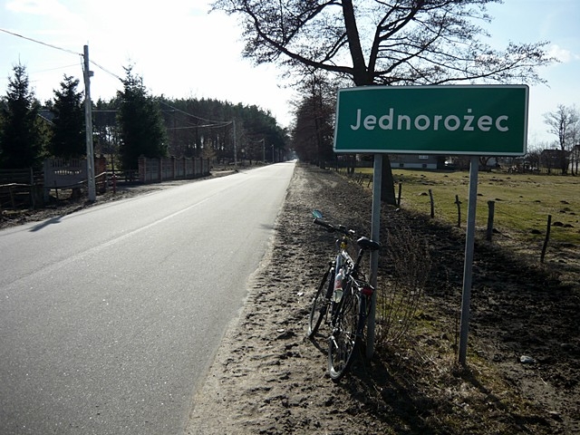 Jednorożec