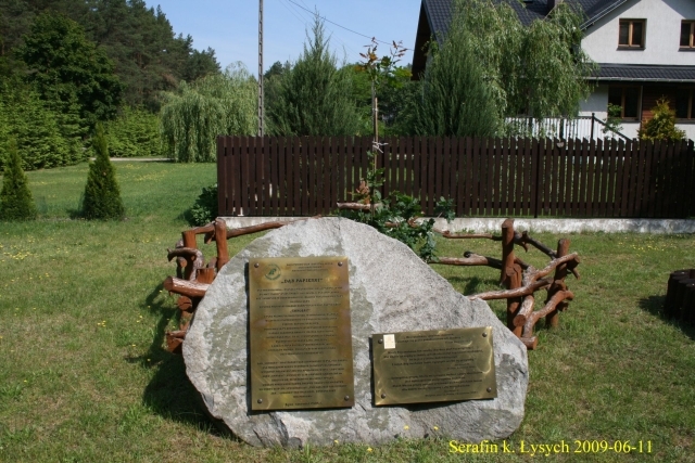 Dąb papieski Serfin k. Łysych