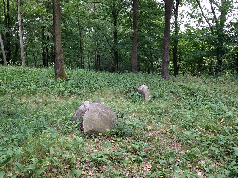 Na zamek w Pułtusku