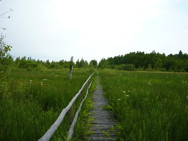 18.07.2010 - Wycieczka forumowiczów
