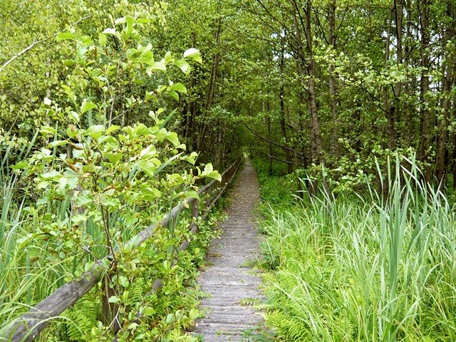 18.07.2010 - Wycieczka forumowiczów