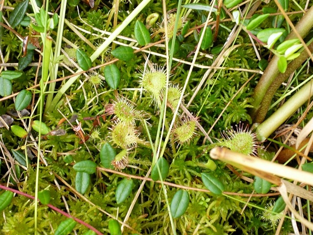 18.07.2010 - Wycieczka forumowiczów