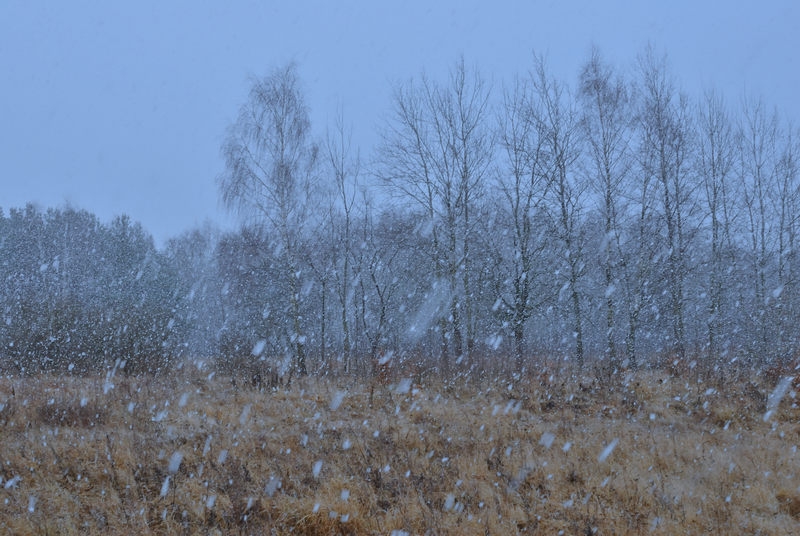 Brillanz / Wärme - Brilliance/Warmth,