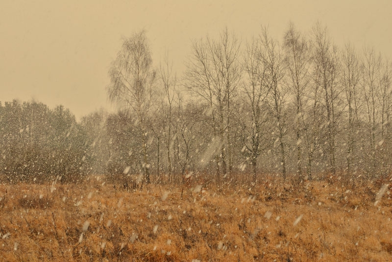 Brillanz / Wärme - Brilliance/Warmth,