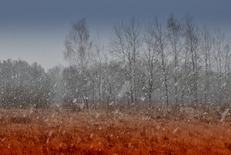 Verlaufsfilter - Graduated Filters