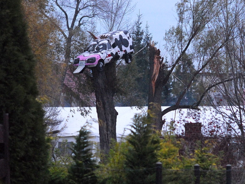 Pojazd dla Pijącego