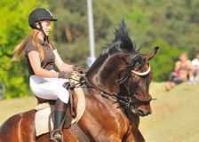 Zawody kawaleryjskie